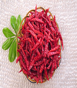 ӡ��S17���� ��������11�f-13�fSHU��