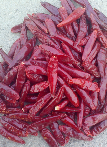 �t̫�(y��ng)����������������6�f����SHU��