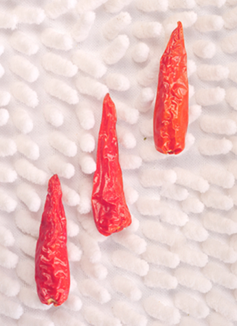 С�����������ͣ�12�fSHU)