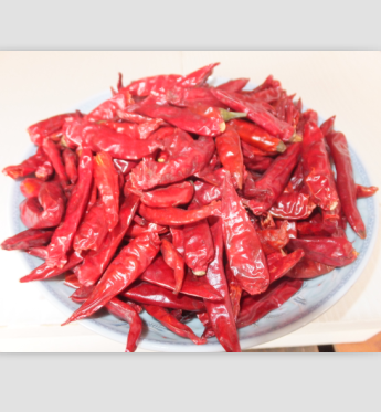 �������������7�f����SHU��