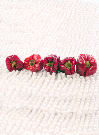 ���\���������ͣ�5�f����SHU��