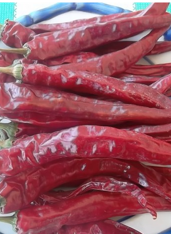 �涼�t��΢������1�f(w��n)����SHU��