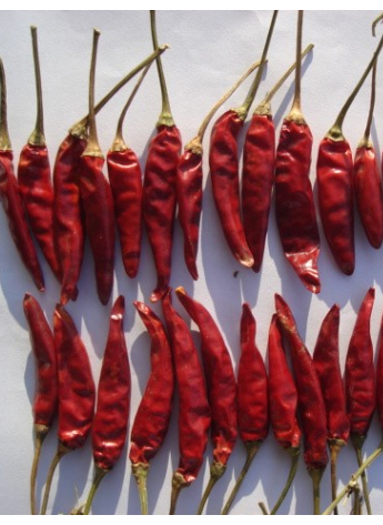 �涼�t��΢������1�f(w��n)����SHU��