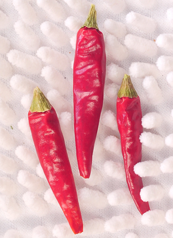 �M���ǣ���������10�f(w��n)����SHU��