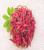 ������������������10-11SHU��