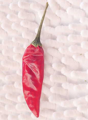 ������������������10-11SHU��