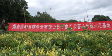 ���ϡ����������I(y��)�����ЙC(j��)��Ұɽ������