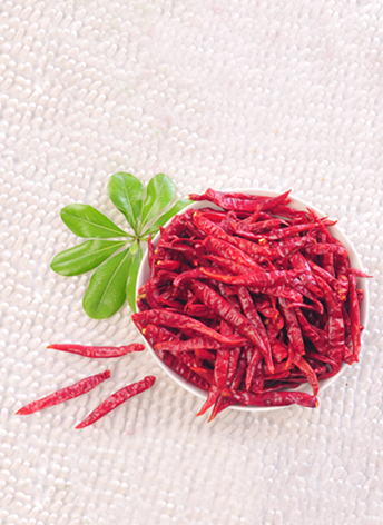 ӡ��S17���� �����ȣ�8�f-10�fSHU��