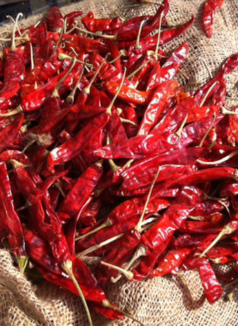 ӡ��S4��������������4�f����SHU��