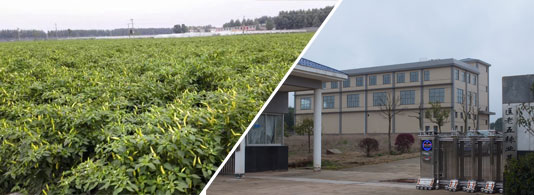 ӡ��S4�����������ͣ�4�f����SHU��