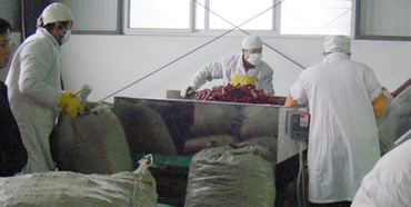 ����Ұɽ�����x����