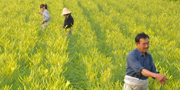 �������S���˻��ز�ժ�S����