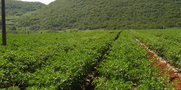 �������ཷ�Nֲ����