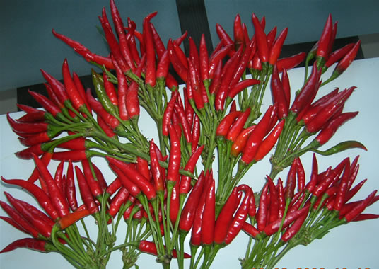 ���������I(y��)С����