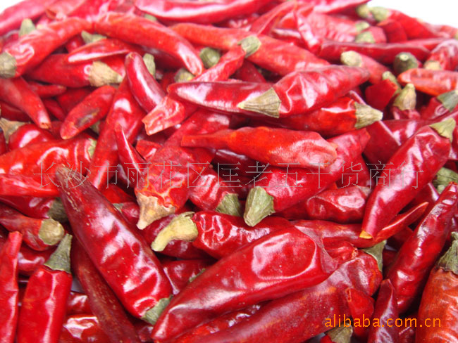 ���������I(y��)���ӏ��^����