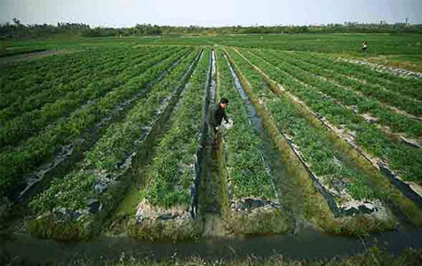 ���콷���l(f��)