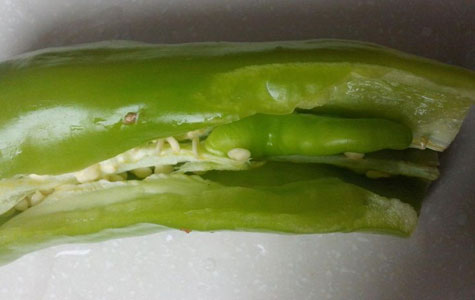 Ұɽ���r(ji��)��