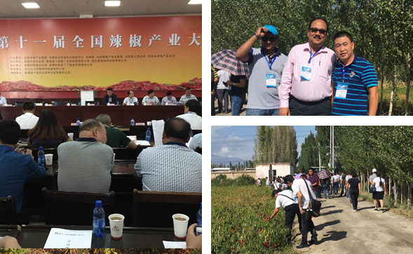 Ұɽ���r��