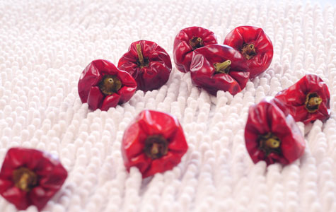 Ұɽ���r��