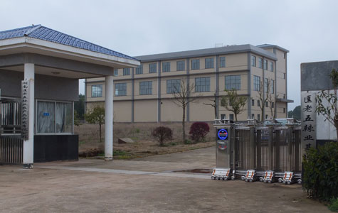 �������S��