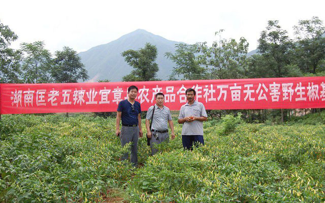 ��(y��u)�|(zh��)������