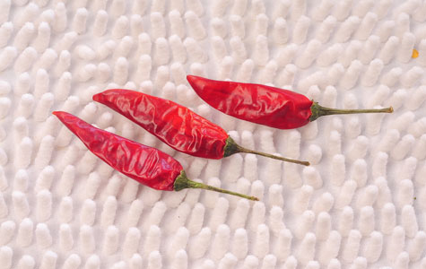 ��(y��u)�|(zh��)������